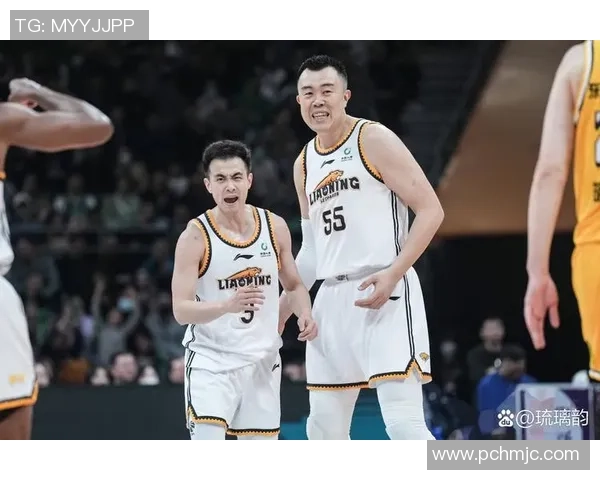 2014年辽宁队与福建队季后赛激战回顾及精彩瞬间分析