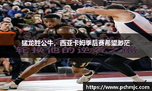 VSport体育手机最新版本