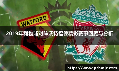 VSport体育手机最新版本