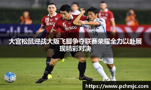 VSport体育手机最新版本