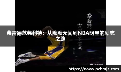 VSport体育在线登录